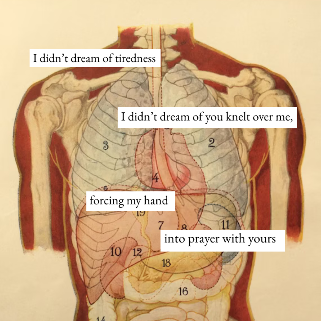 Angry, Spells | Body Without Organs